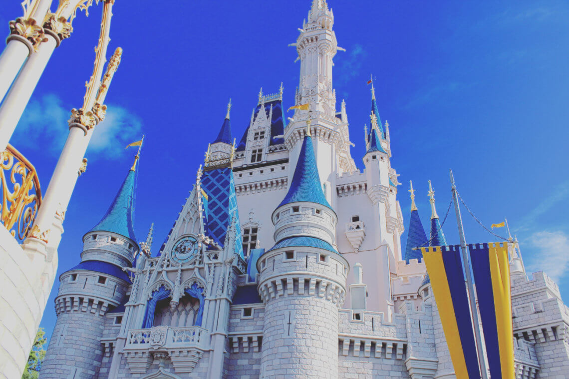 Just a few of the many reasons you should love Disney #disney #disneyworld #waltdisneyworld #disneyland #disneylove #waltdisney#magickingdom