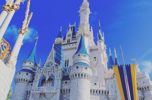 Just a few of the many reasons you should love Disney #disney #disneyworld #waltdisneyworld #disneyland #disneylove #waltdisney#magickingdom