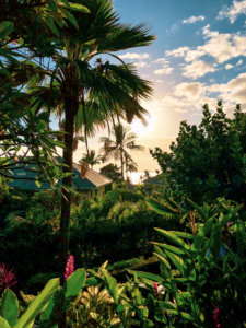 Adults only, indescribable ocean views, top-rated food and drinks, and never-ending aloha spirit... #maui #hawaii #vacation #honeymoon #adultsonly #wailea Maui | Hawaii | Wailea Resort | Hotel Wailea | Best Resort in Maui | Best Resort in Hawaii | Best resort in wailea | Where to stay in hawaii | Where to stay in wailea | Where to stay in maui | Adults only resort in maui | adults only resort in hawaii | adults only resort in wailea | where to honeymoon in hawaii | where to honeymoon in maui