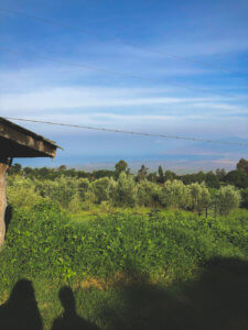 Coffee Shop Dreamin'...And a Visit to O'o Farm