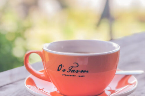 Coffee Shop Dreamin'...And a Visit to O'o Farm