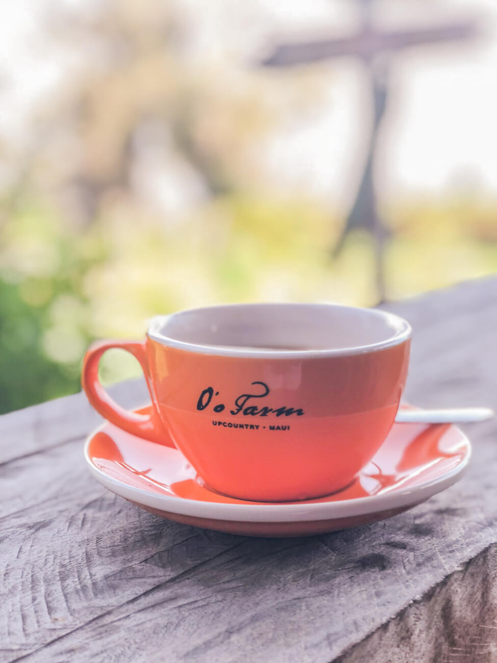 Coffee Shop Dreamin'...And a Visit to O'o Farm