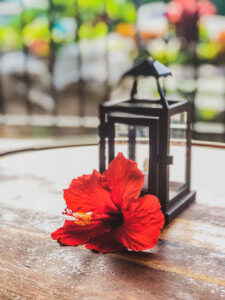 Adults only, indescribable ocean views, top-rated food and drinks, and never-ending aloha spirit... #maui #hawaii #vacation #honeymoon #adultsonly #wailea Maui | Hawaii | Wailea Resort | Hotel Wailea | Best Resort in Maui | Best Resort in Hawaii | Best resort in wailea | Where to stay in hawaii | Where to stay in wailea | Where to stay in maui | Adults only resort in maui | adults only resort in hawaii | adults only resort in wailea | where to honeymoon in hawaii | where to honeymoon in maui