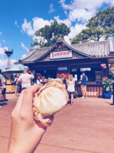 All the information you need to have the best day at Food & Wine Festival, and some of the dishes you have to try while you are there! #epcotfoodandwine #foodandwinefestival #epcotfoodandwinefestival #epcot #disney #disneyworld Tips for Epcot Food & Wine festival | Epcot international food & wine festival | best food at food & wine | epcot festivals | planning for epcot food & wine festival | fall in walt disney world | navigating food & wine festival