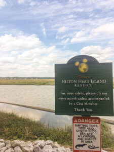 How to visit Disney's Hilton Head Island Resort in South Carolina without being a Disney Vacation Club member, the magical Disney touches you can find here, and what sets this resort apart from all other Disney resorts! Disney | Hilton Head | Hilton Head Island | South Carolina | Disney vacation | Hilton Head vacation | Hilton Head SC | Hilton Head Beach | DVC | Disney Hilton Head Resort | Disney Vacation Club | South Carolina Coast | South Carolina Vacation | South Carolina Beaches