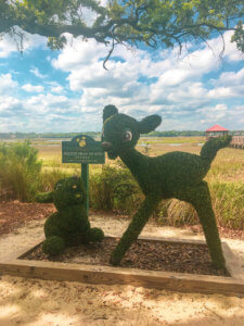 How to visit Disney's Hilton Head Island Resort in South Carolina without being a Disney Vacation Club member, the magical Disney touches you can find here, and what sets this resort apart from all other Disney resorts! Disney | Hilton Head | Hilton Head Island | South Carolina | Disney vacation | Hilton Head vacation | Hilton Head SC | Hilton Head Beach | DVC | Disney Hilton Head Resort | Disney Vacation Club | South Carolina Coast | South Carolina Vacation | South Carolina Beaches