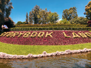 Why you will fall in love with Disneyland, all of the best things around the park (especially the food), and the reason why this park is so important to Disney history! #Disneyland #Disney #CaliforniaAdventure #disneyparks Disneyland Tips | Disneyland Photography | California Adventure | Disneyland Pictures | Disneyland Planning | Disneyland Food | DLR | Disneyland for Adults | Lamplight Lounge | Disney Parks | Disneyland Resort | Disney Food | Disney Resorts | Disneyland California | DCA