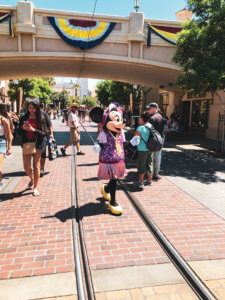 Why you will fall in love with Disneyland, all of the best things around the park (especially the food), and the reason why this park is so important to Disney history! #Disneyland #Disney #CaliforniaAdventure #disneyparks Disneyland Tips | Disneyland Photography | California Adventure | Disneyland Pictures | Disneyland Planning | Disneyland Food | DLR | Disneyland for Adults | Lamplight Lounge | Disney Parks | Disneyland Resort | Disney Food | Disney Resorts | Disneyland California | DCA