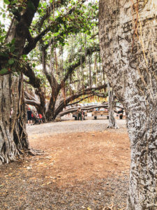 What it was like to explore Lahaina, Maui including shopping, things to do, best places to eat, and even a little trip on a submarine... #lahaina #maui #hawaii #hawaiitrip Lahaina Maui | Hawaii Travel | Maui Hawaii | Hawaii Vacation | Hawaii Honeymoon | Things to do in Hawaii | Things to do in Maui | Things to do in Lahaina | Maui Vacation | Lahaina Maui restaurants | Lahaina Maui Activities | Lahaina Maui Shopping | Honeymoon Destination | Places to Honeymoon | Best Place to Honeymoon