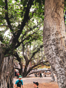 What it was like to explore Lahaina, Maui including shopping, things to do, best places to eat, and even a little trip on a submarine... #lahaina #maui #hawaii #hawaiitrip Lahaina Maui | Hawaii Travel | Maui Hawaii | Hawaii Vacation | Hawaii Honeymoon | Things to do in Hawaii | Things to do in Maui | Things to do in Lahaina | Maui Vacation | Lahaina Maui restaurants | Lahaina Maui Activities | Lahaina Maui Shopping | Honeymoon Destination | Places to Honeymoon | Best Place to Honeymoon