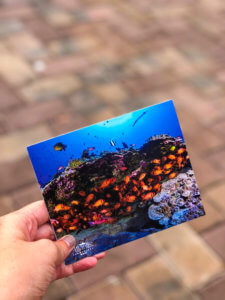 What it was like to explore Lahaina, Maui including shopping, things to do, best places to eat, and even a little trip on a submarine... #lahaina #maui #hawaii #hawaiitrip Lahaina Maui | Hawaii Travel | Maui Hawaii | Hawaii Vacation | Hawaii Honeymoon | Things to do in Hawaii | Things to do in Maui | Things to do in Lahaina | Maui Vacation | Lahaina Maui restaurants | Lahaina Maui Activities | Lahaina Maui Shopping | Honeymoon Destination | Places to Honeymoon | Best Place to Honeymoon