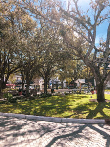 The best coffee shops in Tampa and St. Petersburg and why you need to visit each one! #coffee #coffeeshops #tampa #st.petersburg #florida Coffee shops in the US | Coffee shops in florida | Coffee shops in tampa | Coffee shops in st. pete | coffee shops in st. petersburg | Best coffee in tampa | Best coffee in st. petersburg | best coffee in st. pete | Best coffee in florida