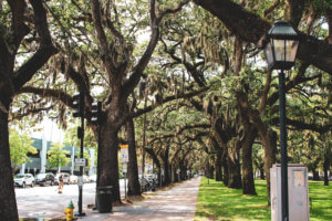 Live oak trees with spanish moss, cobblestone streets, carriage rides, and ghost tours are just a few of the things this charming coastal town has to offer | Savannah | Savannah Georgia | Things to Do in Savannah Georgia | What to do in Savannah Georgia | Top 10 Things to Do in Savannah Georgia | Savannah GA #savannah #savannahgeorgia #thingstodo #riverstreet #georgia #savannahga #tybeeisland #tybee #coastalgeorgia #georgiacoast #vacation #travel #trip #springbreak #summer #traveltips #beach