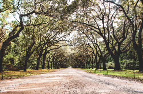 Live oak trees with spanish moss, cobblestone streets, carriage rides, and ghost tours are just a few of the things this charming coastal town has to offer | Savannah | Savannah Georgia | Things to Do in Savannah Georgia | What to do in Savannah Georgia | Top 10 Things to Do in Savannah Georgia | Savannah GA #savannah #savannahgeorgia #thingstodo #riverstreet #georgia #savannahga #tybeeisland #tybee #coastalgeorgia #georgiacoast #vacation #travel #trip #springbreak #summer #traveltips #beach