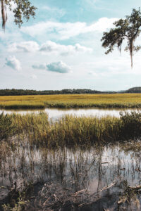 Live oak trees with spanish moss, cobblestone streets, carriage rides, and ghost tours are just a few of the things this charming coastal town has to offer | Savannah | Savannah Georgia | Things to Do in Savannah Georgia | What to do in Savannah Georgia | Top 10 Things to Do in Savannah Georgia | Savannah GA #savannah #savannahgeorgia #thingstodo #riverstreet #georgia #savannahga #tybeeisland #tybee #coastalgeorgia #georgiacoast #vacation #travel #trip #springbreak #summer #traveltips #beach