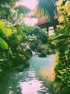 Breakfast at Kona Cafe at Disney's Polynesian Resort is the best way to start your day before hopping the monorail over to the Magic Kingdom! #disneyworld #disneyfood #polynesianresort #magic kingdom Tonga Toast | Disney | Walt Disney World | Disney Resorts | Disney Restaurants | Disney Breakfast | WDW | Disney Dining | Ohana | Best Disney Food | Disney World Restaurants | Disney World Food 