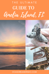 This coastal town just miles south of the Georgia-Florida border line has so much to do including watching sea turtle hatchlings go out to sea, car shows, festivals, and over 90 restaurants! Things to Do in Amelia Island Florida | Where to Stay in Amelia Island | Guide to Amelia Island | Amelia Island Vacation | Fernandina Beach Florida | Where to eat in Amelia Island | Where to visit in florida | Florida vacation | Beach Vacation #florida #ameliaisland #vacation #floridavacation #beachvacay