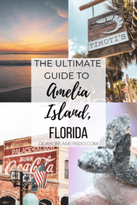 This coastal town just miles south of the Georgia-Florida border line has so much to do including watching sea turtle hatchlings go out to sea, car shows, festivals, and over 90 restaurants! Things to Do in Amelia Island Florida | Where to Stay in Amelia Island | Guide to Amelia Island | Amelia Island Vacation | Fernandina Beach Florida | Where to eat in Amelia Island | Where to visit in florida | Florida vacation | Beach Vacation #florida #ameliaisland #vacation #floridavacation #beachvacay