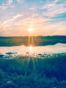 This coastal town just miles south of the Georgia-Florida border line has so much to do including watching sea turtle hatchlings go out to sea, car shows, festivals, and over 90 restaurants! Things to Do in Amelia Island Florida | Where to Stay in Amelia Island | Guide to Amelia Island | Amelia Island Vacation | Fernandina Beach Florida | Where to eat in Amelia Island | Where to visit in florida | Florida vacation | Beach Vacation #florida #ameliaisland #vacation #floridavacation #beachvacay