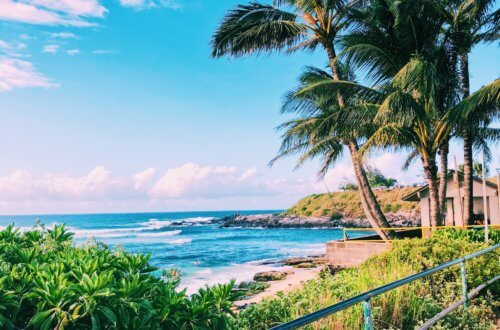 The beautiful coastal town of Paia sits along the North Shore of Maui, mixing hip surf culture and exotic jungle living with the Road to Hana beginning in this little town. In Paia, you will find the best beach in Maui with sea turtles and windsurfing, shops, boutiques, and unique restaurants. #maui #paia #hawaii #seaturtle Paia | Maui | Hawaii | Things to do in Paia | Things to do in Maui | Where to go in Maui | Sea turtles in maui | Things to do in hawaii | where to go in hawaii | Road to Hana