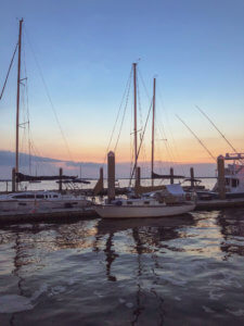 This coastal town just miles south of the Georgia-Florida border line has so much to do including watching sea turtle hatchlings go out to sea, car shows, festivals, and over 90 restaurants! Things to Do in Amelia Island Florida | Where to Stay in Amelia Island | Guide to Amelia Island | Amelia Island Vacation | Fernandina Beach Florida | Where to eat in Amelia Island | Where to visit in florida | Florida vacation | Beach Vacation #florida #ameliaisland #vacation #floridavacation #beachvacay