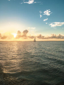 This coastal town just miles south of the Georgia-Florida border line has so much to do including watching sea turtle hatchlings go out to sea, car shows, festivals, and over 90 restaurants! Things to Do in Amelia Island Florida | Where to Stay in Amelia Island | Guide to Amelia Island | Amelia Island Vacation | Fernandina Beach Florida | Where to eat in Amelia Island | Where to visit in florida | Florida vacation | Beach Vacation #florida #ameliaisland #vacation #floridavacation #beachvacay