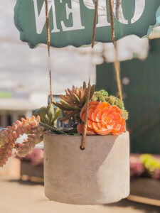 The beautiful coastal town of Paia sits along the North Shore of Maui, mixing hip surf culture and exotic jungle living with the Road to Hana beginning in this little town. In Paia, you will find the best beach in Maui with sea turtles and windsurfing, shops, boutiques, and unique restaurants. #maui #paia #hawaii #seaturtle Paia | Maui | Hawaii | Things to do in Paia | Things to do in Maui | Where to go in Maui | Sea turtles in maui | Things to do in hawaii | where to go in hawaii | Road to Hana