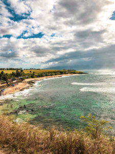 The beautiful coastal town of Paia sits along the North Shore of Maui, mixing hip surf culture and exotic jungle living with the Road to Hana beginning in this little town. In Paia, you will find the best beach in Maui with sea turtles and windsurfing, shops, boutiques, and unique restaurants. #maui #paia #hawaii #seaturtle Paia | Maui | Hawaii | Things to do in Paia | Things to do in Maui | Where to go in Maui | Sea turtles in maui | Things to do in hawaii | where to go in hawaii | Road to Hana
