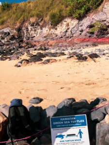 The beautiful coastal town of Paia sits along the North Shore of Maui, mixing hip surf culture and exotic jungle living with the Road to Hana beginning in this little town. In Paia, you will find the best beach in Maui with sea turtles and windsurfing, shops, boutiques, and unique restaurants. #maui #paia #hawaii #seaturtle Paia | Maui | Hawaii | Things to do in Paia | Things to do in Maui | Where to go in Maui | Sea turtles in maui | Things to do in hawaii | where to go in hawaii | Road to Hana