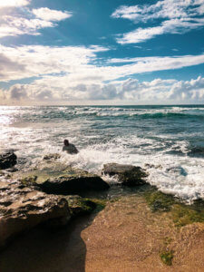 The beautiful coastal town of Paia sits along the North Shore of Maui, mixing hip surf culture and exotic jungle living with the Road to Hana beginning in this little town. In Paia, you will find the best beach in Maui with sea turtles and windsurfing, shops, boutiques, and unique restaurants. #maui #paia #hawaii #seaturtle Paia | Maui | Hawaii | Things to do in Paia | Things to do in Maui | Where to go in Maui | Sea turtles in maui | Things to do in hawaii | where to go in hawaii | Road to Hana