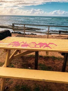 The beautiful coastal town of Paia sits along the North Shore of Maui, mixing hip surf culture and exotic jungle living with the Road to Hana beginning in this little town. In Paia, you will find the best beach in Maui with sea turtles and windsurfing, shops, boutiques, and unique restaurants. #maui #paia #hawaii #seaturtle Paia | Maui | Hawaii | Things to do in Paia | Things to do in Maui | Where to go in Maui | Sea turtles in maui | Things to do in hawaii | where to go in hawaii | Road to Hana