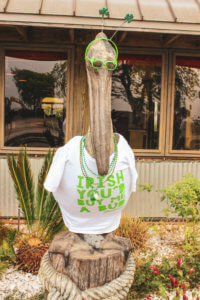 This coastal town just miles south of the Georgia-Florida border line has so much to do including watching sea turtle hatchlings go out to sea, car shows, festivals, and over 90 restaurants! Things to Do in Amelia Island Florida | Where to Stay in Amelia Island | Guide to Amelia Island | Amelia Island Vacation | Fernandina Beach Florida | Where to eat in Amelia Island | Where to visit in florida | Florida vacation | Beach Vacation #florida #ameliaisland #vacation #floridavacation #beachvacay