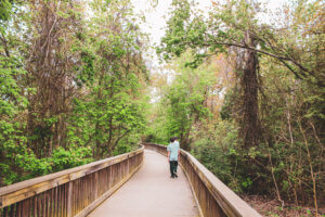 This coastal town just miles south of the Georgia-Florida border line has so much to do including watching sea turtle hatchlings go out to sea, car shows, festivals, and over 90 restaurants! Things to Do in Amelia Island Florida | Where to Stay in Amelia Island | Guide to Amelia Island | Amelia Island Vacation | Fernandina Beach Florida | Where to eat in Amelia Island | Where to visit in florida | Florida vacation | Beach Vacation #florida #ameliaisland #vacation #floridavacation #beachvacay