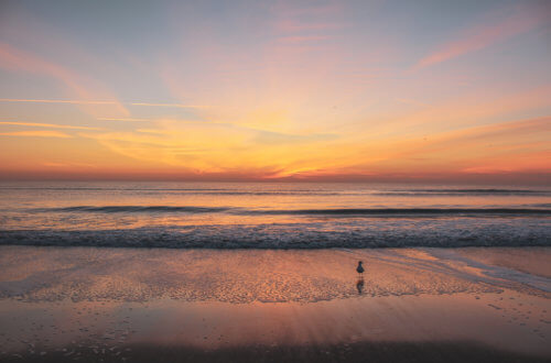 This coastal town just miles south of the Georgia-Florida border line has so much to do including watching sea turtle hatchlings go out to sea, car shows, festivals, and over 90 restaurants! Things to Do in Amelia Island Florida | Where to Stay in Amelia Island | Guide to Amelia Island | Amelia Island Vacation | Fernandina Beach Florida | Where to eat in Amelia Island | Where to visit in florida | Florida vacation | Beach Vacation #florida #ameliaisland #vacation #floridavacation #beachvacay