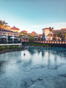 Homecomin' Kitchen at Disney Springs is the best restaurant at Disney World. With the best mac and cheese at Disney, the perfect water view, and a selection of resort cocktails and moonshine, this place cannot be beat. #disneyworld #disneysprings #disneyfood Disney food | Disney restaurants | Disney eats | Disney dining | Disney world restaurants | Disney springs restaurants | Disney springs food | Disney springs dining | Disney world food | Disney world dining | Homecoming Kitchen | Art Smith