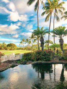 With five beaches, golf courses, stunning ocean views, award-winning restaurants, and shops, Wailea is the perfect vacation spot. Here is your ultimate guide to the Wailea area: from shopping, to things to do, to dining, and places to stay #wailea #maui #hawaii #hawaiitrip Wailea Maui | Grand Wailea | Hawaii vacation | Hawaii honeymoon |Maui vacation | Best place to honeymoon | honeymoon destination |Things to do in Maui | things to do in wailea |things to do in hawaii |Hawaii travel Maui Hawaii