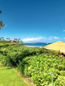 With five beaches, golf courses, stunning ocean views, award-winning restaurants, and shops, Wailea is the perfect vacation spot. Here is your ultimate guide to the Wailea area: from shopping, to things to do, to dining, and places to stay #wailea #maui #hawaii #hawaiitrip Wailea Maui | Grand Wailea | Hawaii vacation | Hawaii honeymoon |Maui vacation | Best place to honeymoon | honeymoon destination |Things to do in Maui | things to do in wailea |things to do in hawaii |Hawaii travel Maui Hawaii