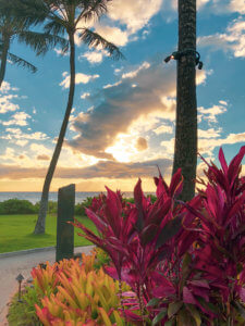With five beaches, golf courses, stunning ocean views, award-winning restaurants, and shops, Wailea is the perfect vacation spot. Here is your ultimate guide to the Wailea area: from shopping, to things to do, to dining, and places to stay #wailea #maui #hawaii #hawaiitrip Wailea Maui | Grand Wailea | Hawaii vacation | Hawaii honeymoon |Maui vacation | Best place to honeymoon | honeymoon destination |Things to do in Maui | things to do in wailea |things to do in hawaii |Hawaii travel Maui Hawaii