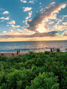 With five beaches, golf courses, stunning ocean views, award-winning restaurants, and shops, Wailea is the perfect vacation spot. Here is your ultimate guide to the Wailea area: from shopping, to things to do, to dining, and places to stay #wailea #maui #hawaii #hawaiitrip Wailea Maui | Grand Wailea | Hawaii vacation | Hawaii honeymoon |Maui vacation | Best place to honeymoon | honeymoon destination |Things to do in Maui | things to do in wailea |things to do in hawaii |Hawaii travel Maui Hawaii