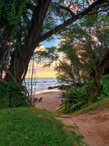 With five beaches, golf courses, stunning ocean views, award-winning restaurants, and shops, Wailea is the perfect vacation spot. Here is your ultimate guide to the Wailea area: from shopping, to things to do, to dining, and places to stay #wailea #maui #hawaii #hawaiitrip Wailea Maui | Grand Wailea | Hawaii vacation | Hawaii honeymoon |Maui vacation | Best place to honeymoon | honeymoon destination |Things to do in Maui | things to do in wailea |things to do in hawaii |Hawaii travel Maui Hawaii