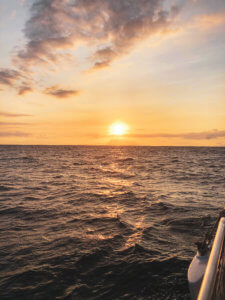 With five beaches, golf courses, stunning ocean views, award-winning restaurants, and shops, Wailea is the perfect vacation spot. Here is your ultimate guide to the Wailea area: from shopping, to things to do, to dining, and places to stay #wailea #maui #hawaii #hawaiitrip Wailea Maui | Grand Wailea | Hawaii vacation | Hawaii honeymoon |Maui vacation | Best place to honeymoon | honeymoon destination |Things to do in Maui | things to do in wailea |things to do in hawaii |Hawaii travel Maui Hawaii