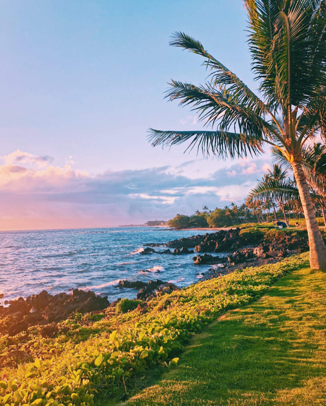 With five beaches, golf courses, stunning ocean views, award-winning restaurants, and shops, Wailea is the perfect vacation spot. Here is your ultimate guide to the Wailea area: from shopping, to things to do, to dining, and places to stay #wailea #maui #hawaii #hawaiitrip Wailea Maui | Grand Wailea | Hawaii vacation | Hawaii honeymoon |Maui vacation | Best place to honeymoon | honeymoon destination |Things to do in Maui | things to do in wailea |things to do in hawaii |Hawaii travel Maui Hawaii