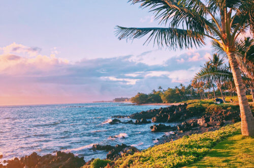 With five beaches, golf courses, stunning ocean views, award-winning restaurants, and shops, Wailea is the perfect vacation spot. Here is your ultimate guide to the Wailea area: from shopping, to things to do, to dining, and places to stay #wailea #maui #hawaii #hawaiitrip Wailea Maui | Grand Wailea | Hawaii vacation | Hawaii honeymoon |Maui vacation | Best place to honeymoon | honeymoon destination |Things to do in Maui | things to do in wailea |things to do in hawaii |Hawaii travel Maui Hawaii