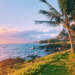 With five beaches, golf courses, stunning ocean views, award-winning restaurants, and shops, Wailea is the perfect vacation spot. Here is your ultimate guide to the Wailea area: from shopping, to things to do, to dining, and places to stay #wailea #maui #hawaii #hawaiitrip Wailea Maui | Grand Wailea | Hawaii vacation | Hawaii honeymoon |Maui vacation | Best place to honeymoon | honeymoon destination |Things to do in Maui | things to do in wailea |things to do in hawaii |Hawaii travel Maui Hawaii