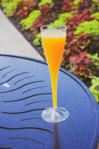 All of the must-try items at the 2019 Epcot International Food & Wine Festival, including brand new items and tried-and-true favorites! #epcot #foodandwine #foodandwinefestival #epcotfoodandwine #2019foodandwine Tips for 2019 Epcot Food & Wine Festival | Tips for Epcot International Food & Wine Festival | Planning for Epcot Food & Wine | 2019 tips and tricks food and wine | favorites from 2019 epcot food & wine festival | must try items at 2019 epcot food & wine | best dishes and drinks at epcot