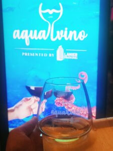 An entire night of food and wine at the Georgia Aquarium in Atlanta, Georgia...Aqua Vino is a night of live musical, local-inspired food tastings, and varieties of wine sampling! #georgiaaquarium #thingstodoinatlanta #atlantamustdo #eventsinatlanta Atlanta Georgia events  | things to do in atlanta | special events in atlanta | georgia aquarium events | aqua vino event georgia aquarium | stuff to do in atlanta | atlanta blogger | atlanta georgia blog | atlanta GA 