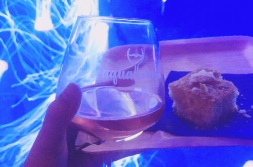 An entire night of food and wine at the Georgia Aquarium in Atlanta, Georgia...Aqua Vino is a night of live musical, local-inspired food tastings, and varieties of wine sampling! #georgiaaquarium #thingstodoinatlanta #atlantamustdo #eventsinatlanta Atlanta Georgia events | things to do in atlanta | special events in atlanta | georgia aquarium events | aqua vino event georgia aquarium | stuff to do in atlanta | atlanta blogger | atlanta georgia blog | atlanta GA