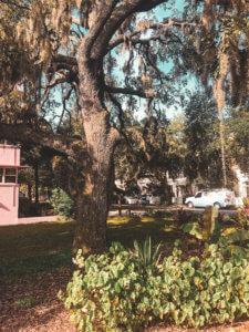 Located just 20 minutes north of the happiest place on earth, Winter Park is a charming town filled with world-class art museums, an upscale shopping district, fine-dining, sidewalk cafes, and luxury accomodations. This is your ultimate guide to Winter Park Florida! #vacation #travel #trip #springbreak #summer #traveltips #thingstodo #winterpark #florida #centralflorida #orlando #visitflorida #floridavacation #floridatrip Things to Do in Winter Park Florida | Things to do in Orlando Florida