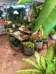 Located just 20 minutes north of the happiest place on earth, Winter Park is a charming town filled with world-class art museums, an upscale shopping district, fine-dining, sidewalk cafes, and luxury accomodations. This is your ultimate guide to Winter Park Florida! #vacation #travel #trip #springbreak #summer #traveltips #thingstodo #winterpark #florida #centralflorida #orlando #visitflorida #floridavacation #floridatrip Things to Do in Winter Park Florida | Things to do in Orlando Florida