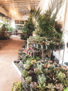 Located just 20 minutes north of the happiest place on earth, Winter Park is a charming town filled with world-class art museums, an upscale shopping district, fine-dining, sidewalk cafes, and luxury accomodations. This is your ultimate guide to Winter Park Florida! #vacation #travel #trip #springbreak #summer #traveltips #thingstodo #winterpark #florida #centralflorida #orlando #visitflorida #floridavacation #floridatrip Things to Do in Winter Park Florida | Things to do in Orlando Florida